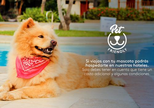 Admite mascotas Hotel ESTELAR Calle 100 Bogotá