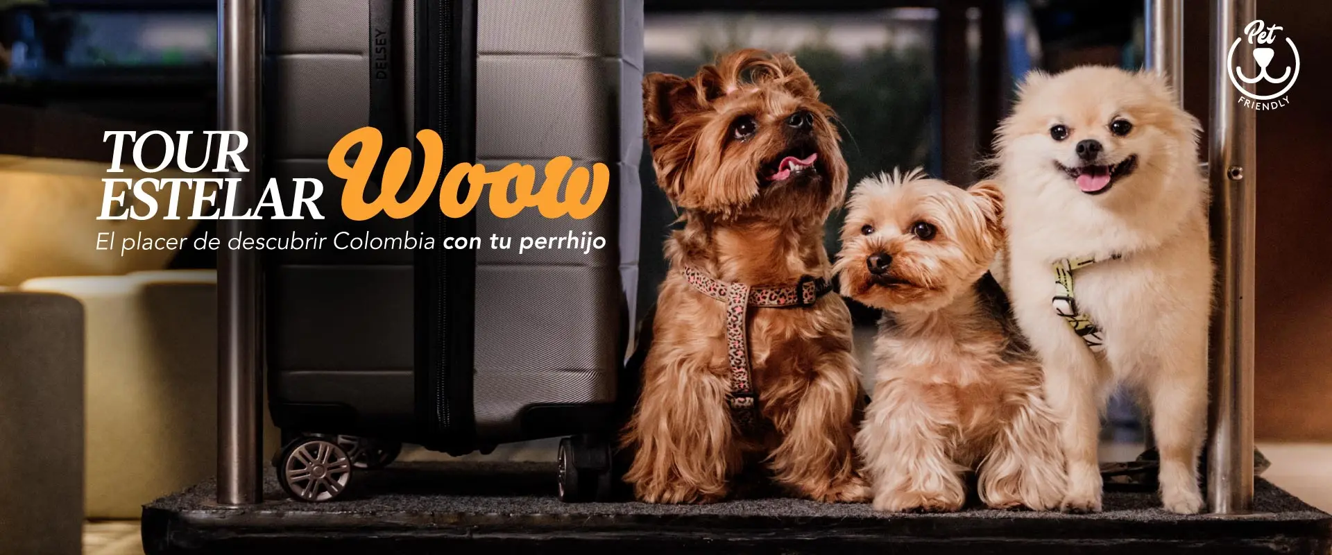 ESTELAR Calle 100 Colombia - Bogotá ESTELAR Calle 100 Colombia - Bogotá